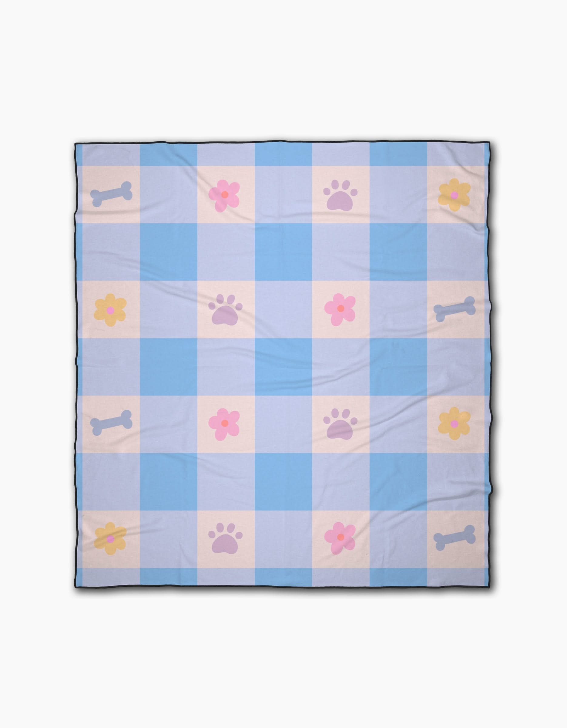 Blue Sky Picnic Dreams