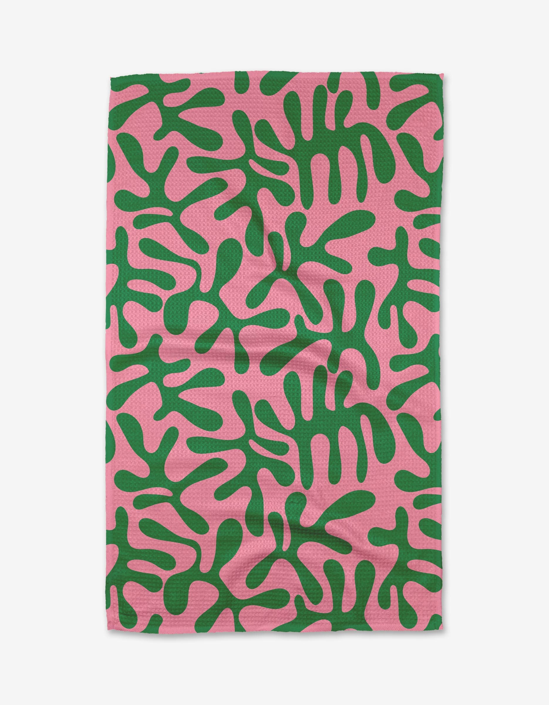 Early Morning Plants